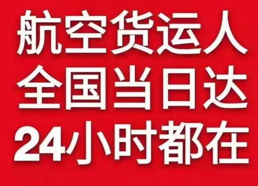 广州空运快递冻品空运-航空快递公司